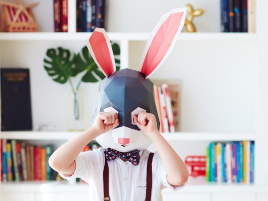 GLS introduces refreshed brand identity